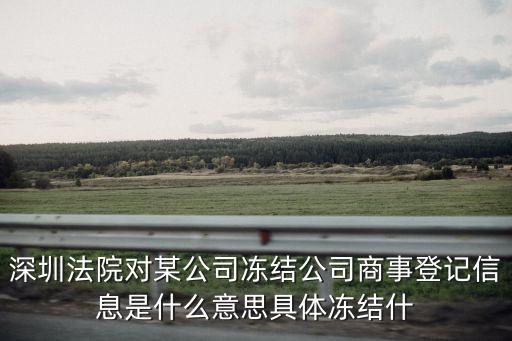 深圳法院對某公司凍結公司商事登記信息是什么意思具體凍結什