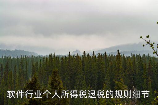 軟件行業個人所得稅退稅的規則細節