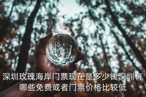 玫瑰海岸，深圳市的玫瑰海岸在哪里坐幾線車去