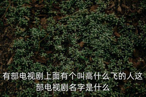 有部電視劇上面有個叫高什么飛的人這部電視劇名字是什么