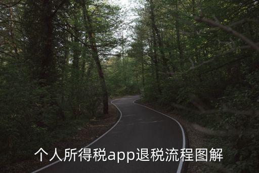 個人所得稅app退稅流程圖解