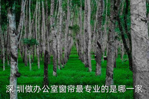 深 圳做辦公室窗簾最專業的是哪一家