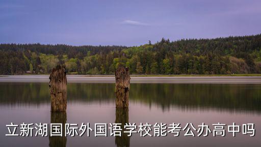 立新湖國際外國語學校能考公辦高中嗎