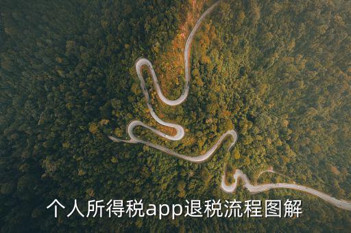 個人所得稅app退稅，軟件行業(yè)個人所得稅退稅的規(guī)則細節(jié)