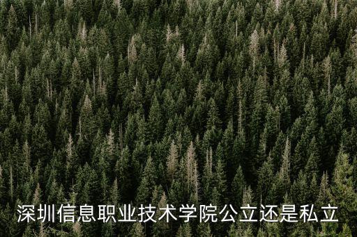 深圳信息職業技術學院公立還是私立