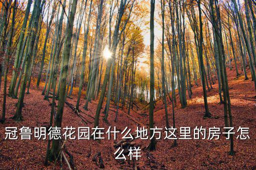 冠魯明德花園在什么地方這里的房子怎么樣