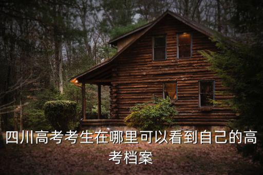 四川高考考生在哪里可以看到自己的高考檔案
