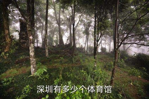 深圳有多少個體育館