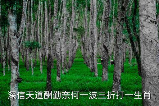 深信院，請問深圳信息職業技術學院龍崗新校宿舍環境怎樣是上床下桌嗎