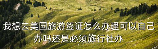 我想去美國旅游簽證怎么辦理可以自己辦嗎還是必須旅行社辦