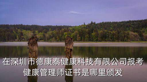 深圳市衛健委，深圳市樂町公司在什么地方