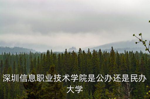 深圳信息職業技術學院是公辦還是民辦大學