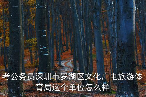 考公務(wù)員深圳市羅湖區(qū)文化廣電旅游體育局這個(gè)單位怎么樣