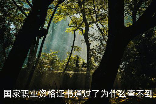 國家職業資格證書通過了為什么查不到