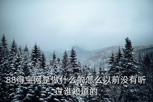 88得寶網是做什么的怎么以前沒有聽過誰知道的