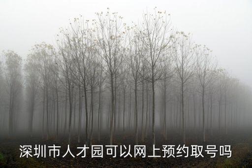 深圳市人才園可以網上預約取號嗎