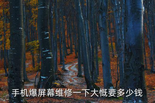 手機爆屏幕維修一下大慨要多少錢