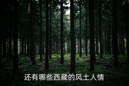還有哪些西藏的風(fēng)土人情