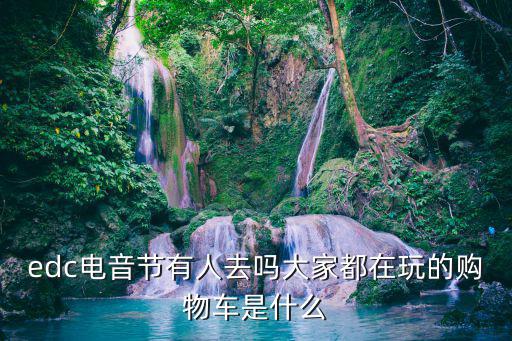edc電音節(jié)有人去嗎大家都在玩的購物車是什么