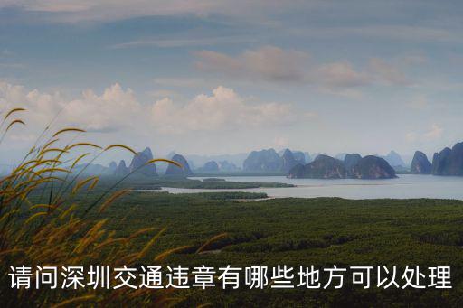 請問深圳交通違章有哪些地方可以處理