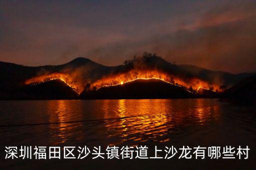 深圳福田區(qū)沙頭鎮(zhèn)街道上沙龍有哪些村