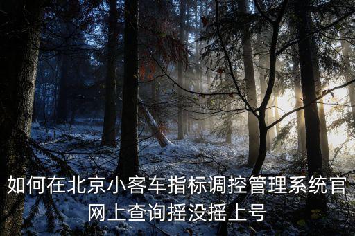 如何在北京小客車指標調(diào)控管理系統(tǒng)官網(wǎng)上查詢搖沒搖上號