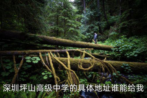 深圳坪山高級中學(xué)，深圳坪山高級中學(xué)的具體地址誰能給我