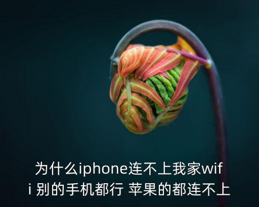為什么iphone連不上我家wifi 別的手機都行 蘋果的都連不上