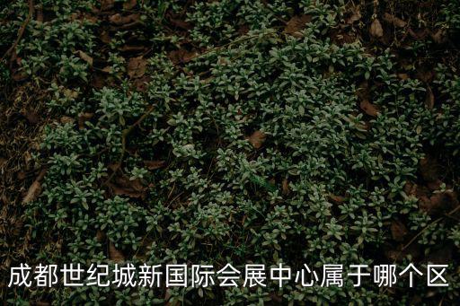 成都世紀城新國際會展中心屬于哪個區