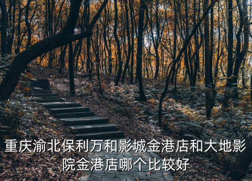 重慶渝北保利萬(wàn)和影城金港店和大地影院金港店哪個(gè)比較好