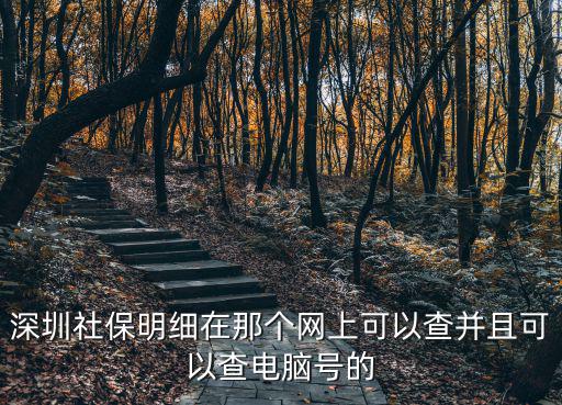 深圳社保明細(xì)在那個(gè)網(wǎng)上可以查并且可以查電腦號(hào)的