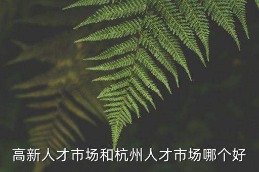 高新人才市場和杭州人才市場哪個好