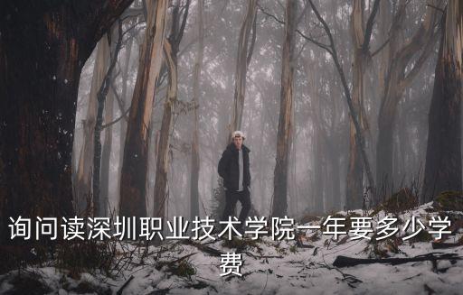 詢問讀深圳職業技術學院一年要多少學費
