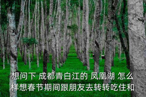 青白江鳳凰湖，想問下 成都青白江的 鳳凰湖 怎么樣想春節(jié)期間跟朋友去轉(zhuǎn)轉(zhuǎn)吃住和