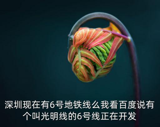 深圳6號(hào)線，深圳現(xiàn)在有6號(hào)地鐵線么我看百度說(shuō)有個(gè)叫光明線的6號(hào)線正在開(kāi)發(fā)