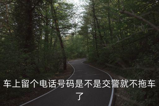 交警拖車電話，后來我馬上就去挪車由于跨年人多我到的時候交警正在用拖車