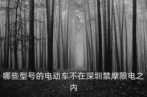 哪些型號的電動車不在深圳禁摩限電之內(nèi)