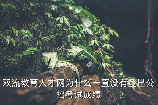 雙流教育人才網(wǎng)，請(qǐng)問雙流人才招聘市場(chǎng)在哪里 謝謝