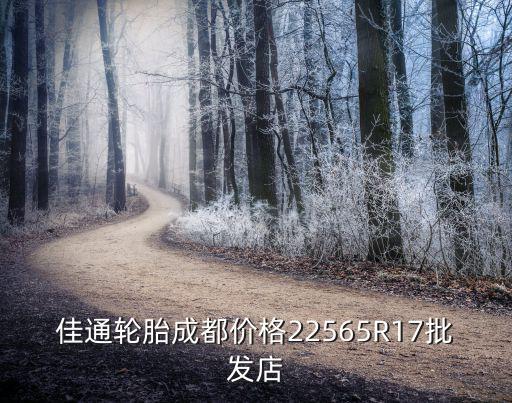 成都米其林餐廳，佳通輪胎成都價格22565R17批發店
