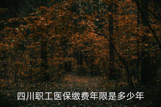 四川醫保，四川醫療保險交多少