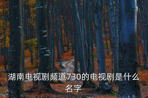 湖南電視劇頻道730的電視劇是什么名字