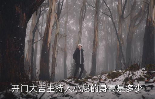 開門大吉主持人小尼的身高是多少