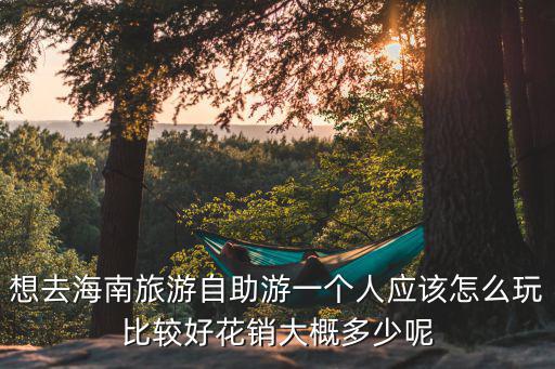想去海南旅游自助游一個(gè)人應(yīng)該怎么玩比較好花銷大概多少呢
