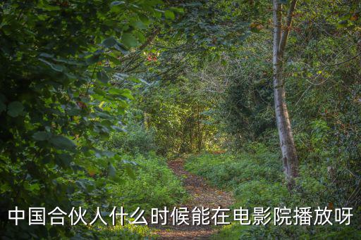 中國合伙人首映禮，什么時候能在電影院播放呀
