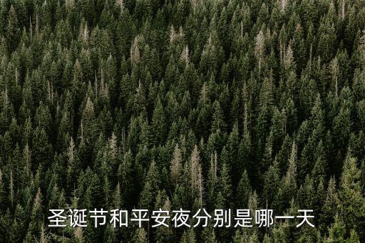 圣誕節和平安夜分別是哪一天