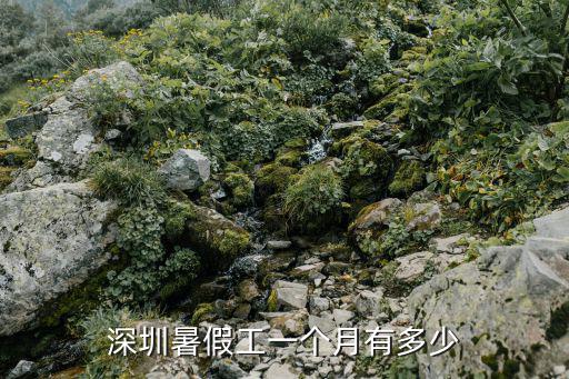 深圳暑假工一個月有多少