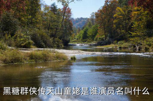 天山童姥扮演者，黑糖群俠傳天山童姥是誰演員名叫什么
