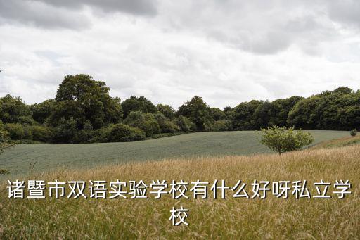 諸暨市雙語實驗學校有什么好呀私立學校