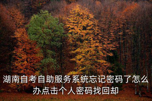 湖南自考自助服務系統忘記密碼了怎么辦點擊個人密碼找回卻
