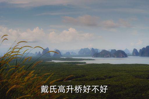 戴氏高升橋好不好